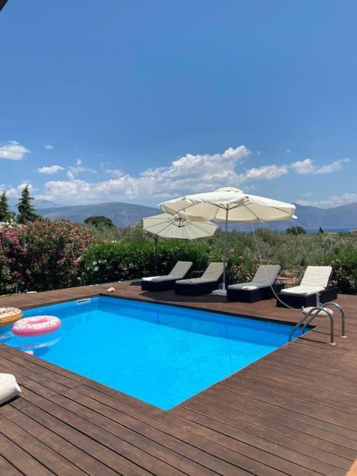 Georges Villa Galaxidi, Family, Pool And Garden المظهر الخارجي الصورة