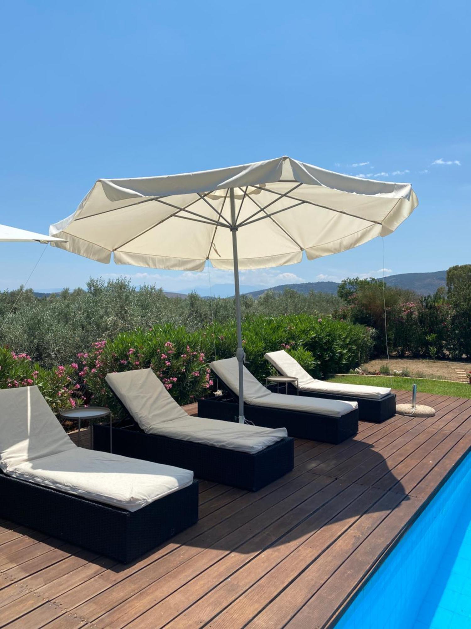 Georges Villa Galaxidi, Family, Pool And Garden المظهر الخارجي الصورة