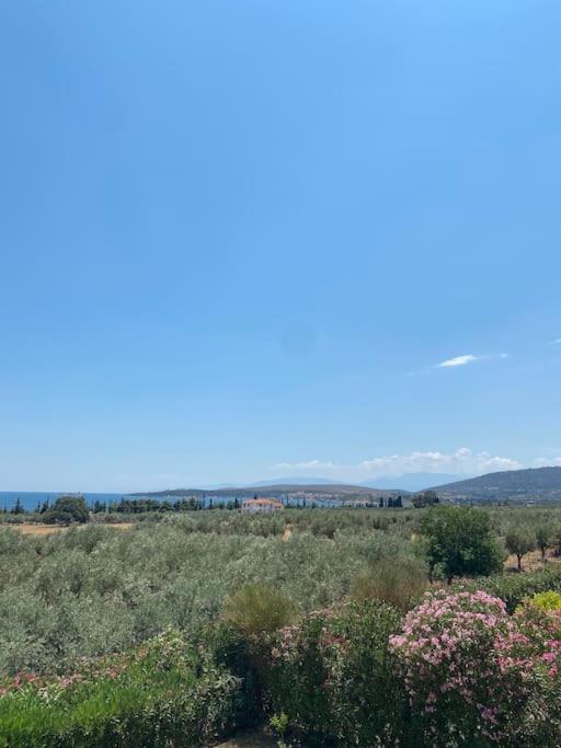 Georges Villa Galaxidi, Family, Pool And Garden المظهر الخارجي الصورة