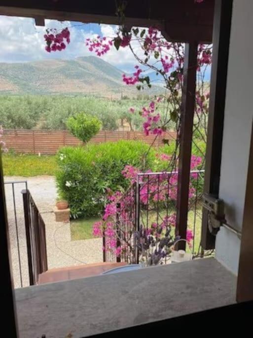 Georges Villa Galaxidi, Family, Pool And Garden المظهر الخارجي الصورة