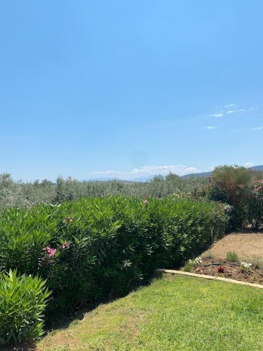 Georges Villa Galaxidi, Family, Pool And Garden المظهر الخارجي الصورة